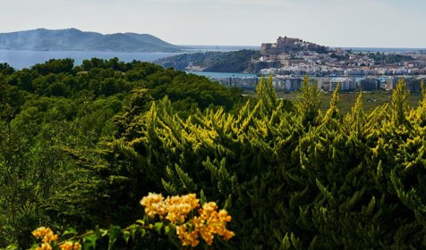 Ibiza in January: Discover the Islands and Start the Year Right