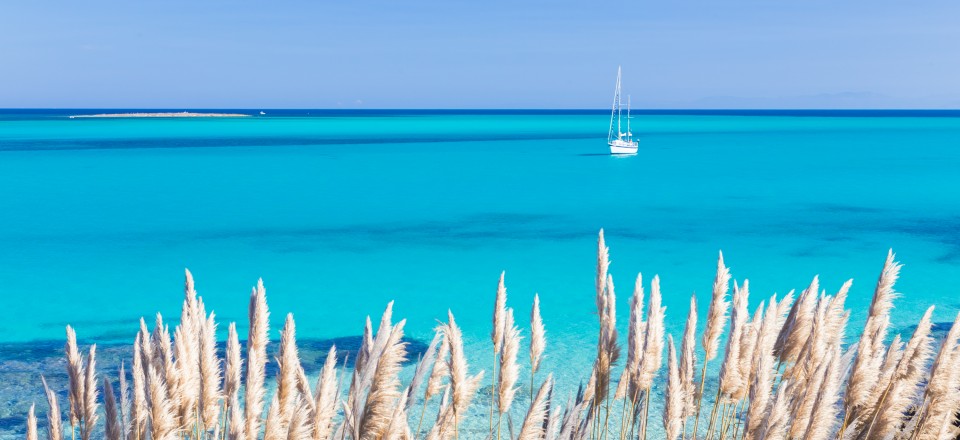 Insiders Guide... Secrets of Formentera
