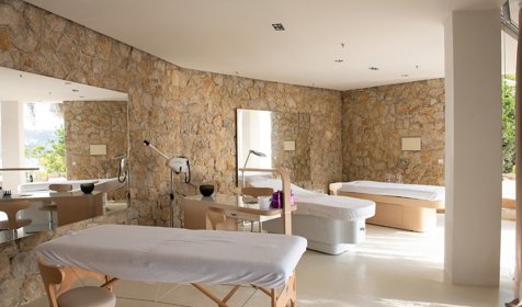 The Wellness and Fitness Trend