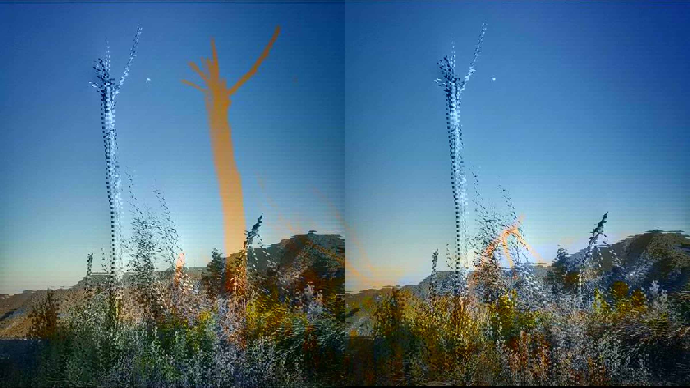 13939613_10154454243186214_4442891304928808719_n