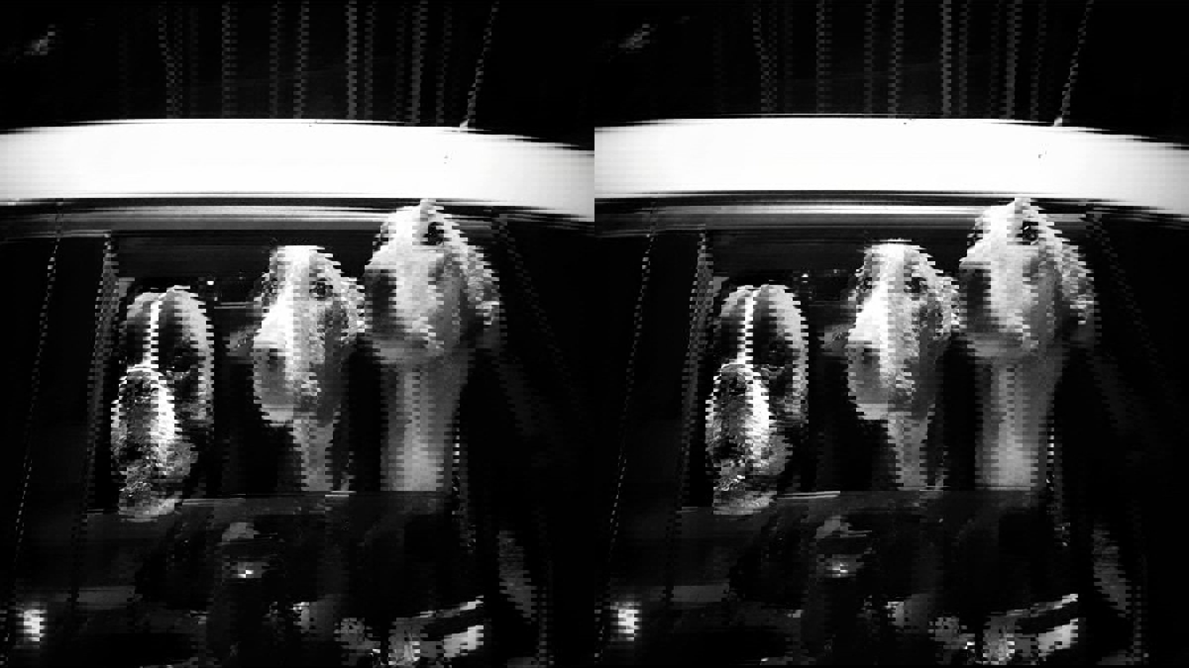 13932702_10154456694816214_2968062840703335375_n