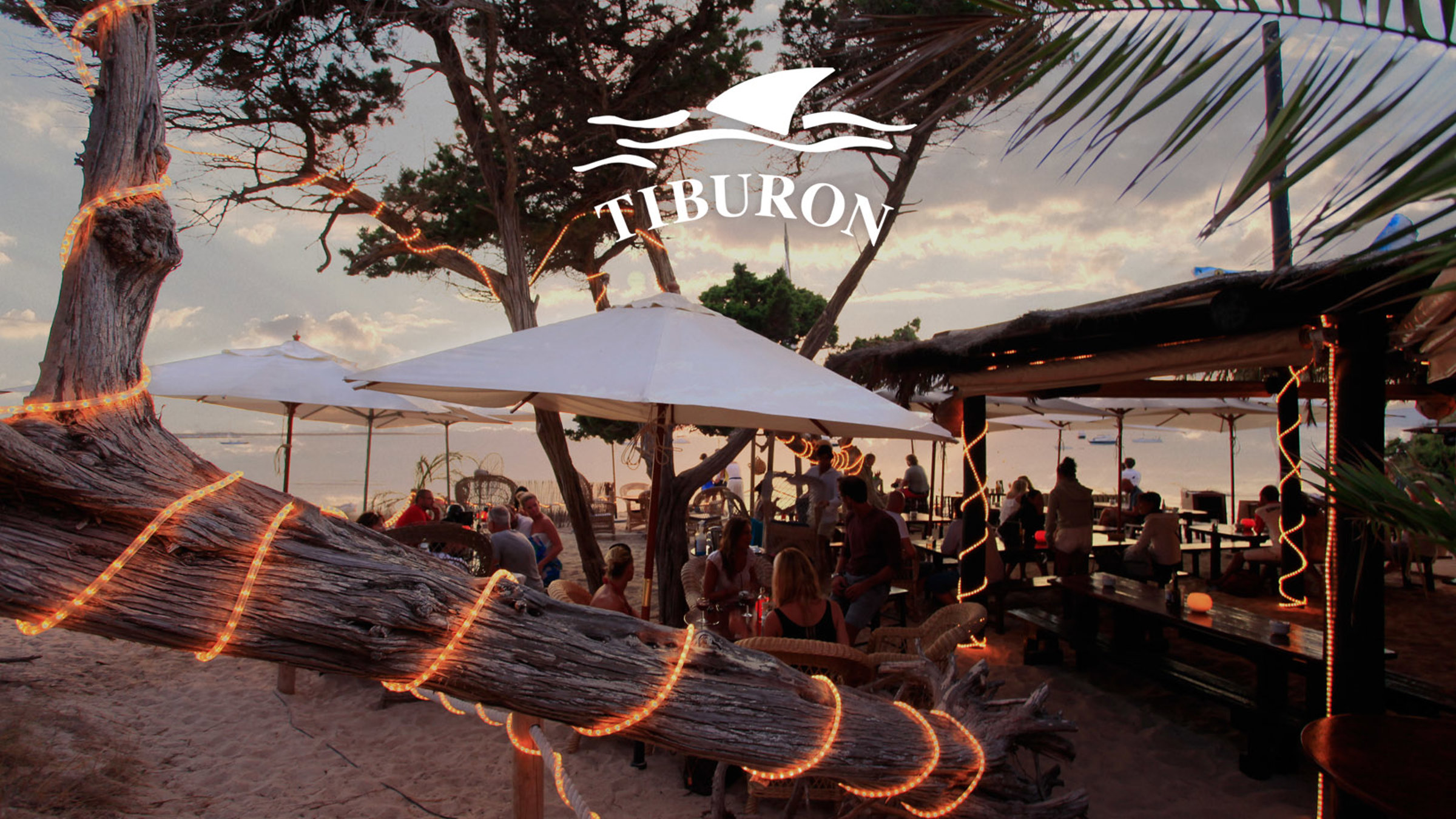 fondo-home-0-tiburon-formentera1